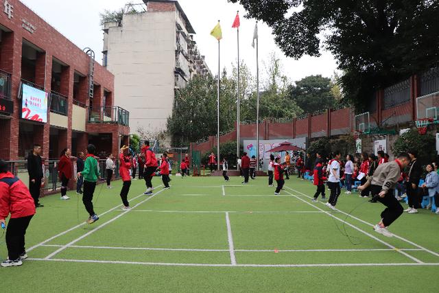 九龙坡区小学最新项目，开启现代教育新篇章探索