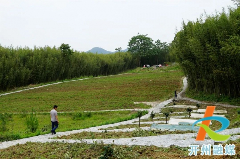 岳溪镇发展规划概览，未来蓝图揭秘