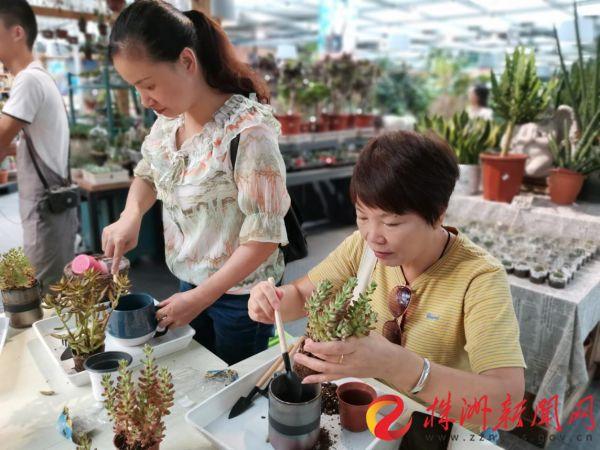 桂花街道新项目重塑城市魅力，激发活力