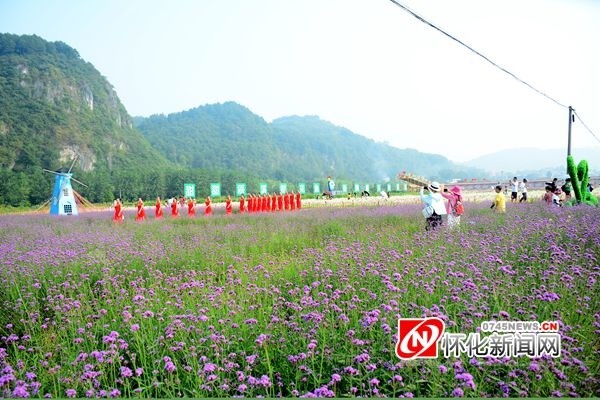 黄岩旅游度假区最新动态报道