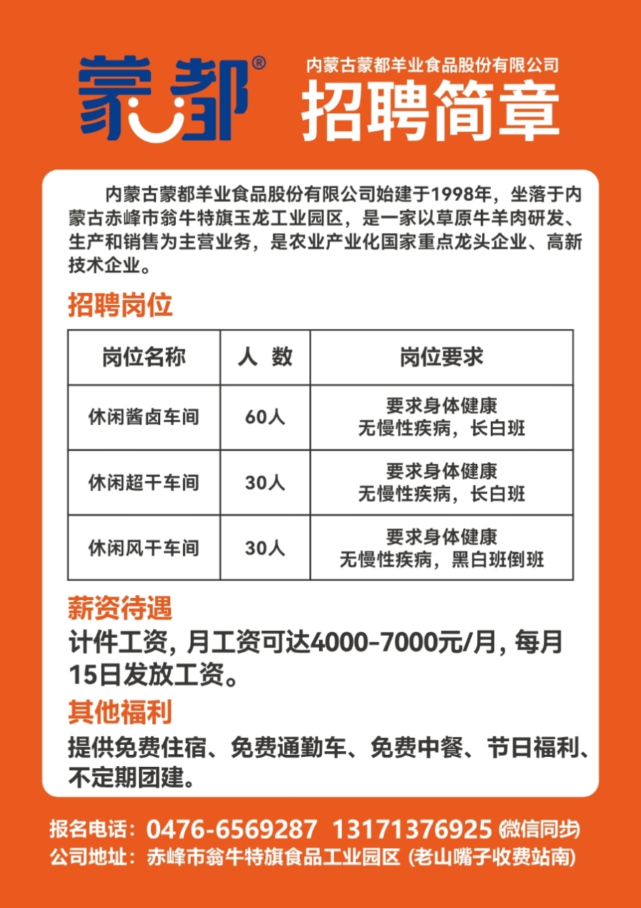 大黄公司最新招聘信息全面发布，职位空缺及招聘细节揭秘