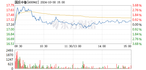 国投中鲁最新动态全面解析